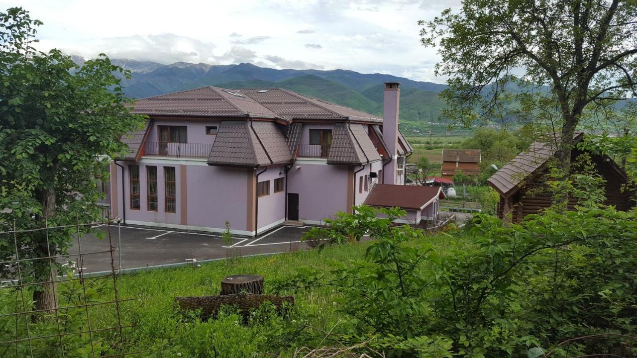 Pensiunea Osencuta Talmaciu Exterior foto