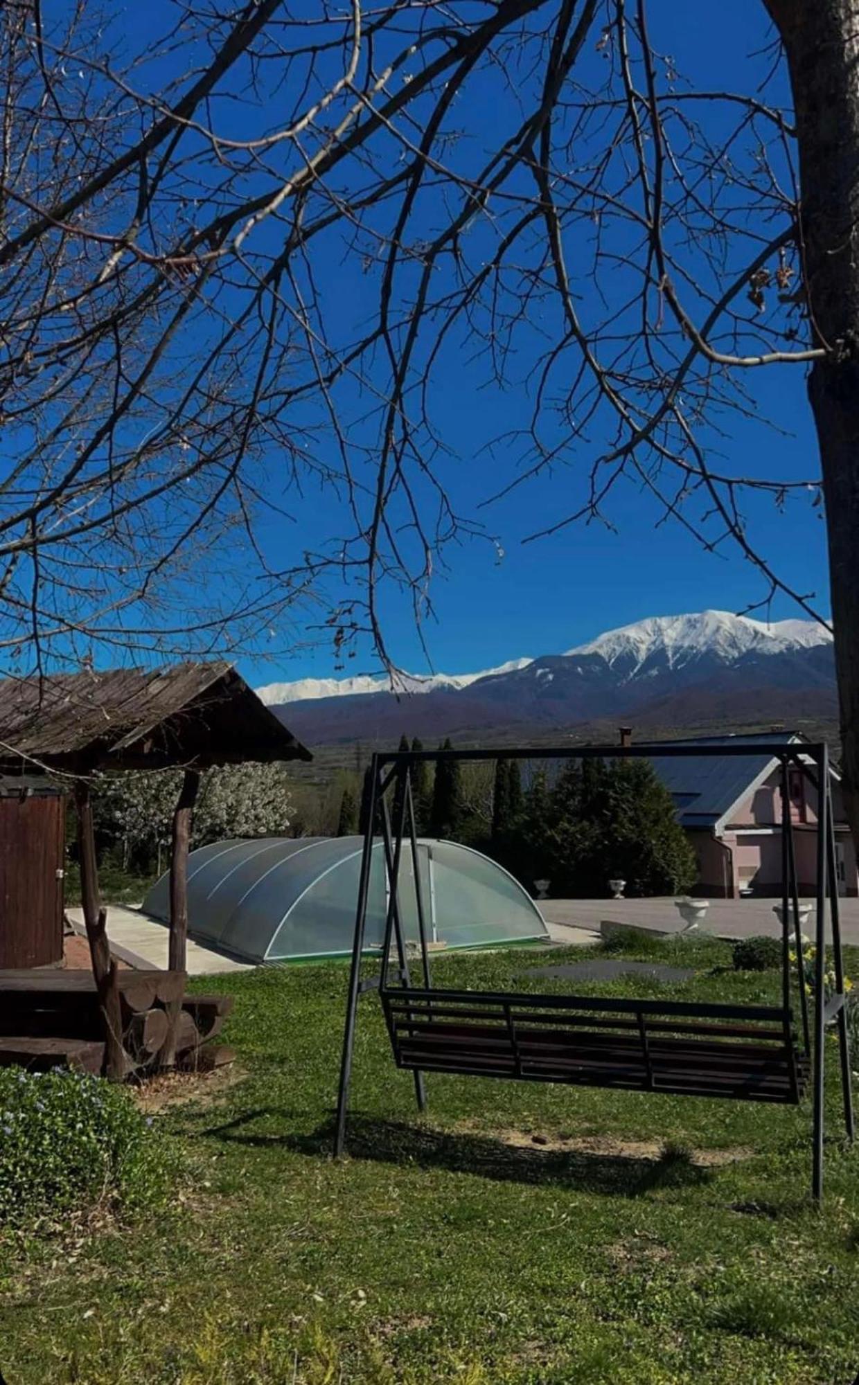 Pensiunea Osencuta Talmaciu Exterior foto